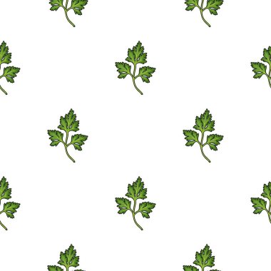 Maydanoz simgesi beyaz arka plan üzerinde izole karikatür tarzı. Herb bir baharat sembol stok vektör çizim.