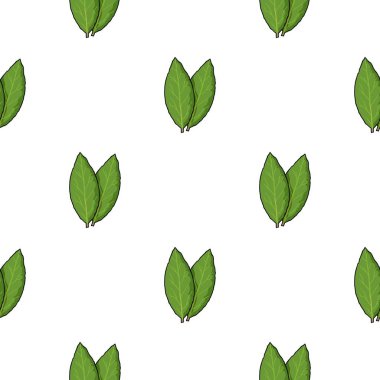 Laurus simgesi beyaz arka plan üzerinde izole karikatür tarzı. Herb bir baharat sembol stok vektör çizim.