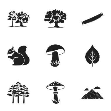 Orman simgeler siyah tarzında ayarlayın. Orman vektör simge stok çizim büyük toplama