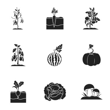 Bitki simgeler siyah tarzında ayarlayın. Bitki vektör simge stok çizim büyük toplama
