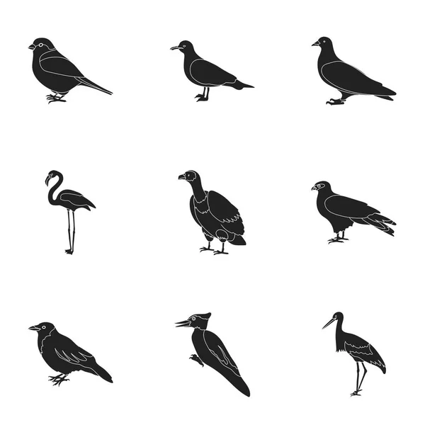 Vogel setzte Symbole im schwarzen Stil. Große Sammlung von Vogel-Vektor-Symbolen — Stockvektor