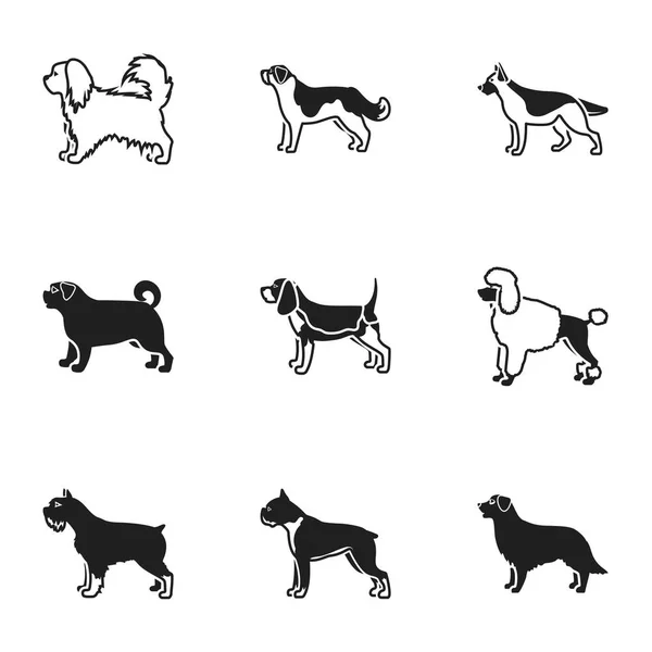 Raças de cães definir ícones em estilo preto. Grande coleção de cão raças vetor símbolo estoque ilustração — Vetor de Stock