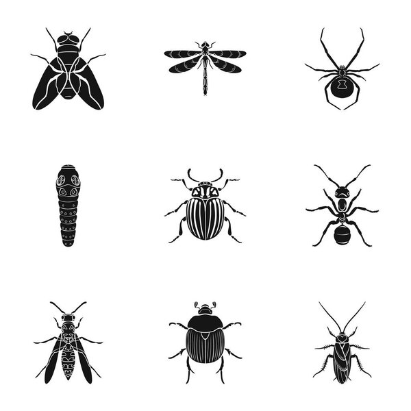 Insects set icons in black style. Big collection of insects vector symbol stock illustration