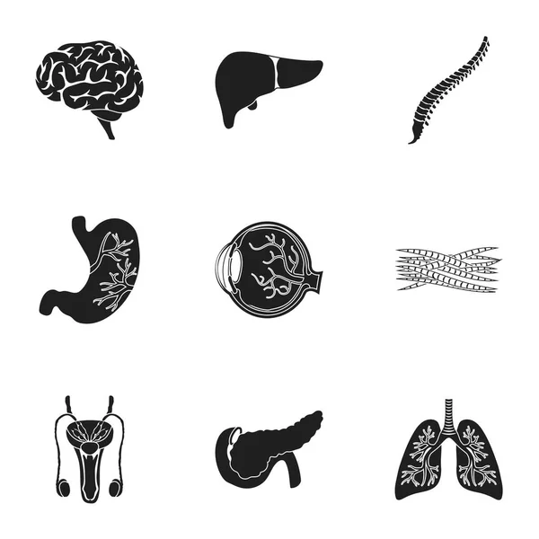 机关中的黑色风格设置图标。大集合的器官矢量符号股票图 — 图库矢量图片
