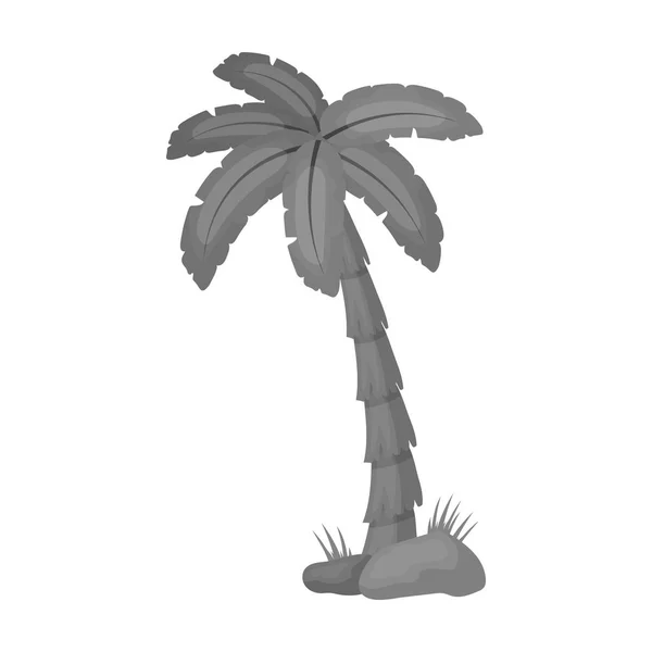 Palmensymbol im monochromen Stil isoliert auf weißem Hintergrund. Brasilien Land Symbol Aktienvektor Illustration. — Stockvektor