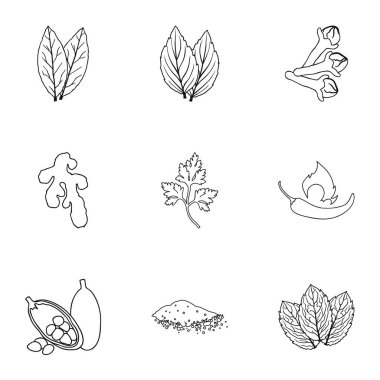 Ot ve baharat simgeleri anahat stilinde ayarlayın. Ot ve baharat büyük koleksiyonu sembol stok illüstrasyon vektör
