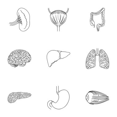 İnsan organlarını simgeleri anahat stilinde ayarlayın. İnsan organlarını büyük toplama sembol stok illüstrasyon vektör