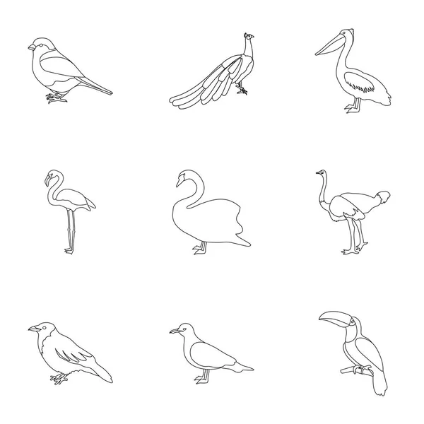Vogel stel pictogrammen in kaderstijl. Grote verzameling vogel vector symbool stock illustratie — Stockvector