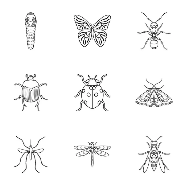 Insects set icons in outline style. Big collection of insects vector symbol stock illustration — Stock Vector