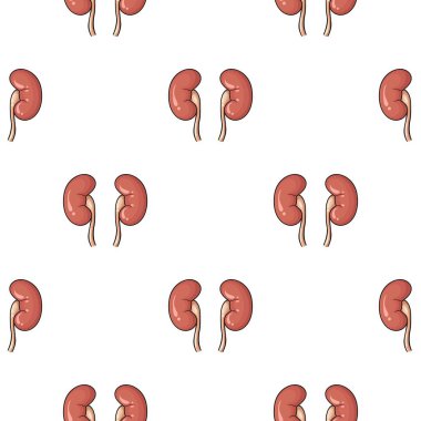 İnsan böbrekler simgesi beyaz arka plan üzerinde izole karikatür tarzı. İnsan organlarını hisse senedi vektör çizim sembolü.