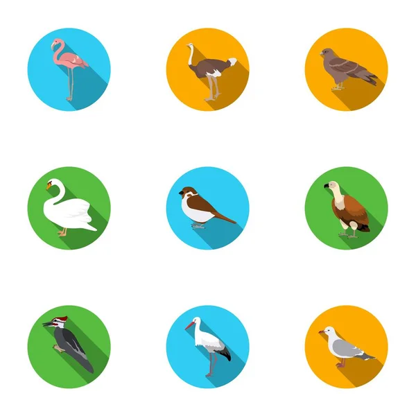 Pájaro establecer iconos en estilo plano. Gran colección de aves vector símbolo stock ilustración — Archivo Imágenes Vectoriales