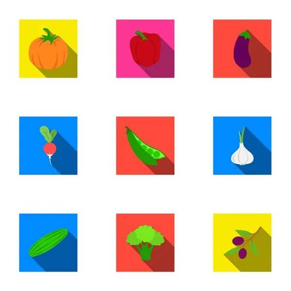 Légumes mis icônes dans le style plat. Grande collection de légumes vectoriel symbole illustration de stock — Image vectorielle