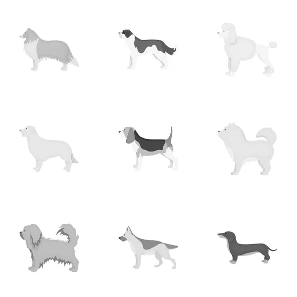 Hondenrassen stel pictogrammen in zwart-wit stijl. Grote verzameling van dog breeds vector symbool stock illustratie — Stockvector