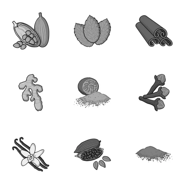 Hierbas y especias establecen iconos en estilo monocromo. Gran colección de hierbas y especias vector símbolo stock ilustración — Vector de stock