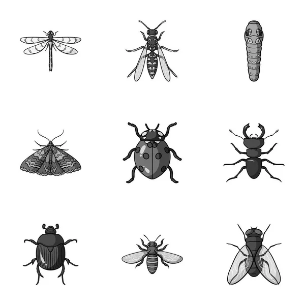 昆虫は、モノクロ スタイルでアイコンを設定します。昆虫の大きなコレクション ベクトル シンボル ストック イラスト — ストックベクタ