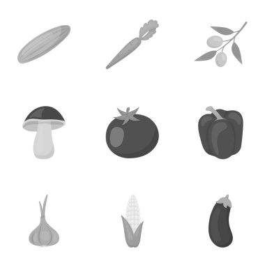 Sebze tek renkli bir tarzda Icons set. Sebzeler büyük toplama sembol stok illüstrasyon vektör