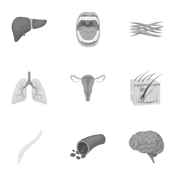 Los órganos establecen iconos en estilo monocromo. Gran colección de órganos vector símbolo stock ilustración — Vector de stock