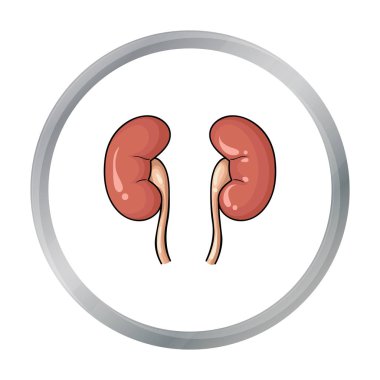 İnsan böbrekler simgesi beyaz arka plan üzerinde izole karikatür tarzı. İnsan organlarını hisse senedi vektör çizim sembolü.