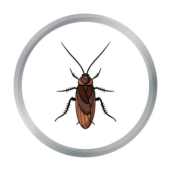 Icono de cucaracha en estilo de dibujos animados aislado sobre fondo blanco. Ilustración de vector de stock de símbolos de insectos . — Vector de stock