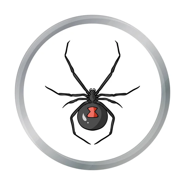 Zwarte weduwe spin pictogram in cartoon stijl geïsoleerd op een witte achtergrond. Insecten symbool voorraad vectorillustratie. — Stockvector