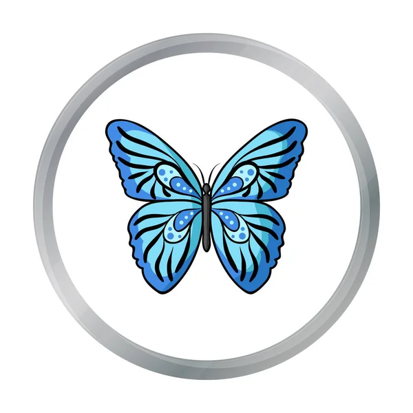 Иконка бабочки в мультяшном стиле выделена на белом фоне. Векторная иллюстрация символов насекомых . — стоковый вектор
