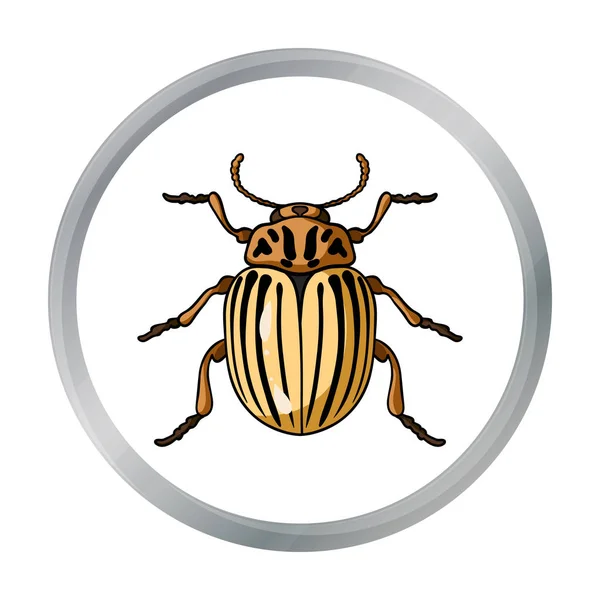 Escarabajo de Colorado icono en estilo de dibujos animados aislado sobre fondo blanco. Ilustración de vector de stock de símbolos de insectos . — Vector de stock