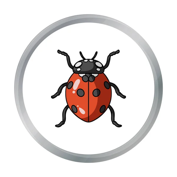Beruška ikona v karikatuře stylu izolovaných na bílém pozadí. Hmyz symbol akcií vektorové ilustrace. — Stockový vektor