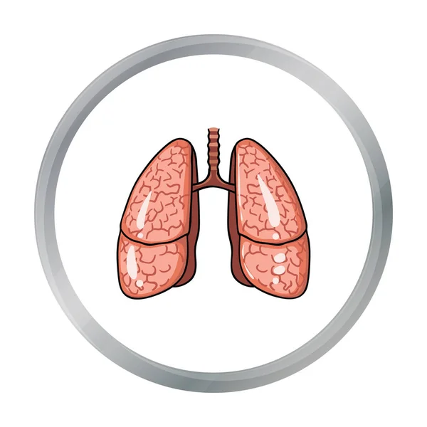 Icono de pulmones humanos en estilo de dibujos animados aislado sobre fondo blanco. Organos humanos símbolo stock vector ilustración . — Archivo Imágenes Vectoriales