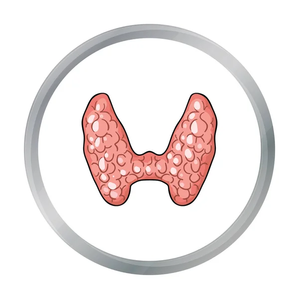 Menschliche Schilddrüsen-Ikone im Cartoon-Stil isoliert auf weißem Hintergrund. menschliche Organe Symbolaktienvektor Illustration. — Stockvektor