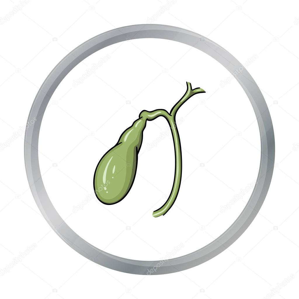 Human gallbladder icon in cartoon style isolated on white background. Human organs symbol vector illustration.