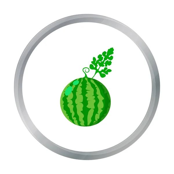 Watermelon icon cartoon. Single plant icon from the big farm, garden, agriculture cartoon. — Stock Vector