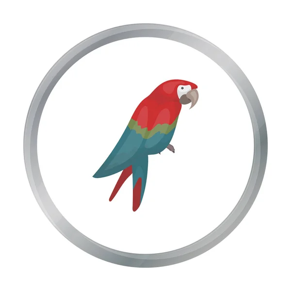Икона попугая-пирата в карикатурном стиле выделена на белом фоне. Векторная иллюстрация символов пиратов . — стоковый вектор