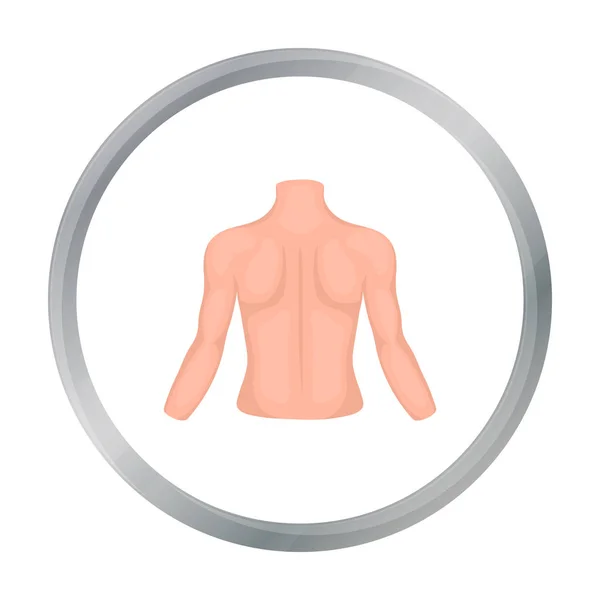 Ícone de volta humano em estilo cartoon isolado no fundo branco. Parte da figura do vetor de estoque do símbolo do corpo . — Vetor de Stock