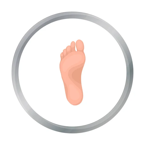 Foot icon in cartoon style isolated on white background. Part of body symbol stock vector illustration. — Stock Vector