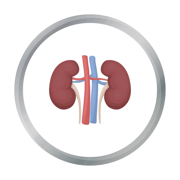 Kidney icon in cartoon style isolated on white background. Organs symbol stock vector illustration. — Stock Vector