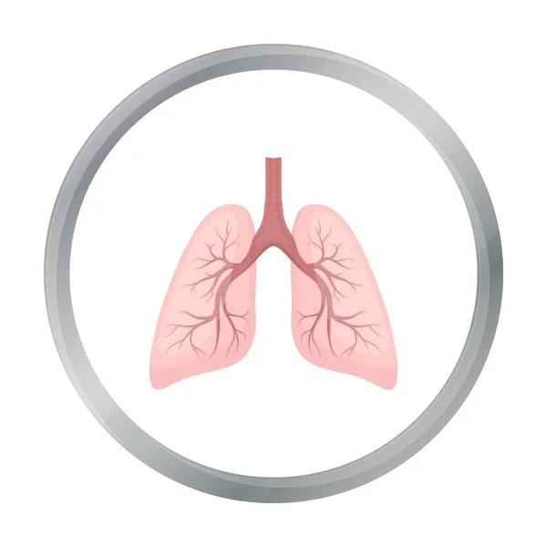 Lungs icono en estilo de dibujos animados aislado sobre fondo blanco. Organos símbolo stock vector ilustración . — Archivo Imágenes Vectoriales