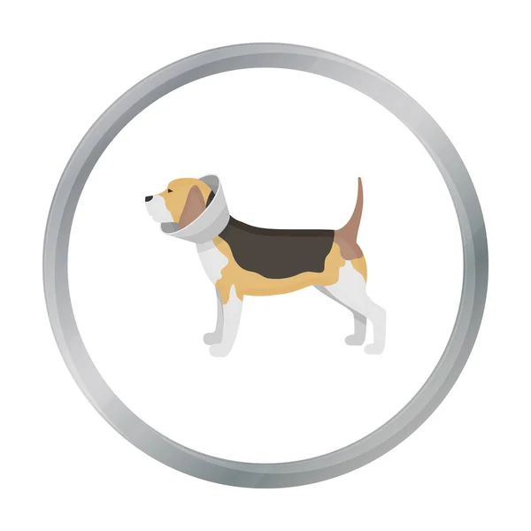 Cane con icona collare elizabethan in stile cartone animato isolato su sfondo bianco. Illustrazione del vettore stock simbolo clinica veterinaria . — Vettoriale Stock