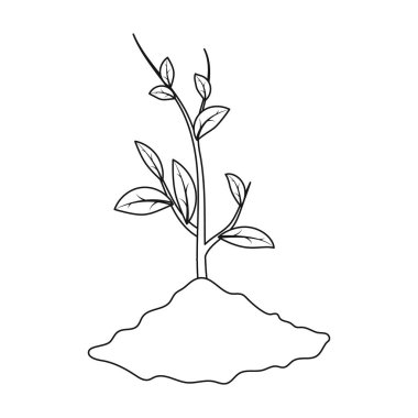 Beyaz arka plan üzerinde izole anahat stili simgesini Filiz. Biyoloji ve ekoloji sembol stok vektör çizim.