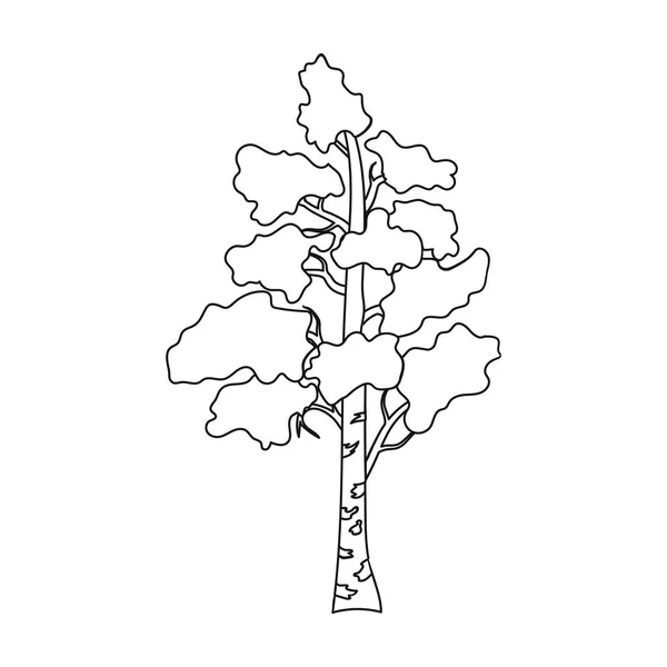 在白色背景上孤立的大纲样式白桦树图标。俄罗斯国家象征股票矢量图. — 图库矢量图片