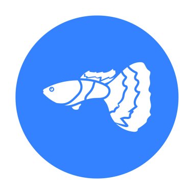 Guppy balık simge siyah. Deniz, okyanus yaşam siyah akvaryum balık simgesinden tek.
