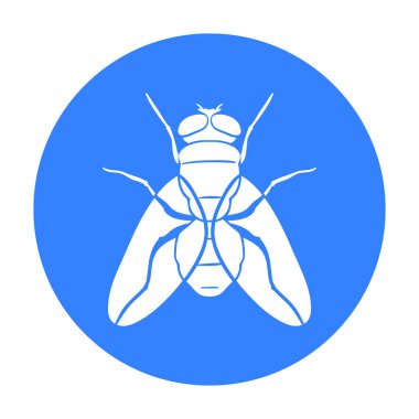 Simge siyah stil beyaz arka plan üzerinde izole içinde sinek. Böcekler sembol stok vektör çizim.