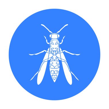 Wasp simge siyah stil beyaz arka plan üzerinde izole içinde. Böcekler sembol stok vektör çizim.