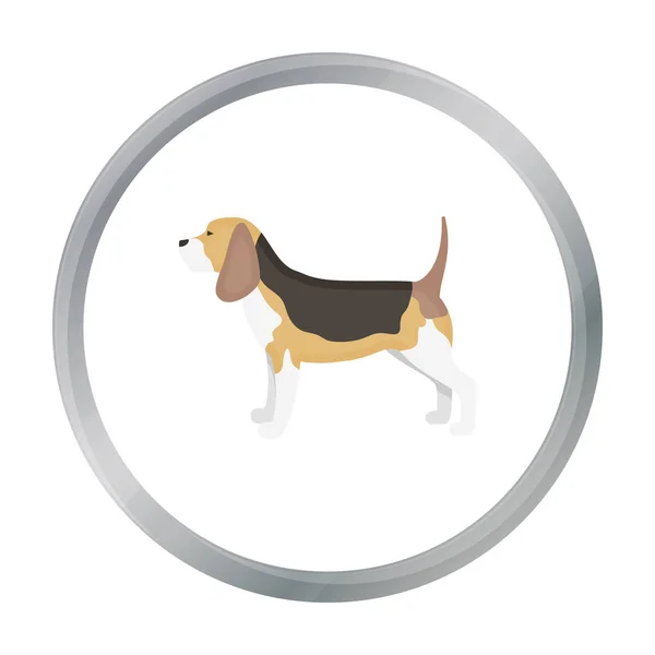 Beagle wektor ikona w stylu cartoon dla sieci web — Wektor stockowy