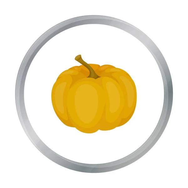 Pumpa ikonen i tecknad stil isolerad på vit bakgrund. Kanadensiska Thanksgiving Day symbol lager vektorillustration. — Stock vektor