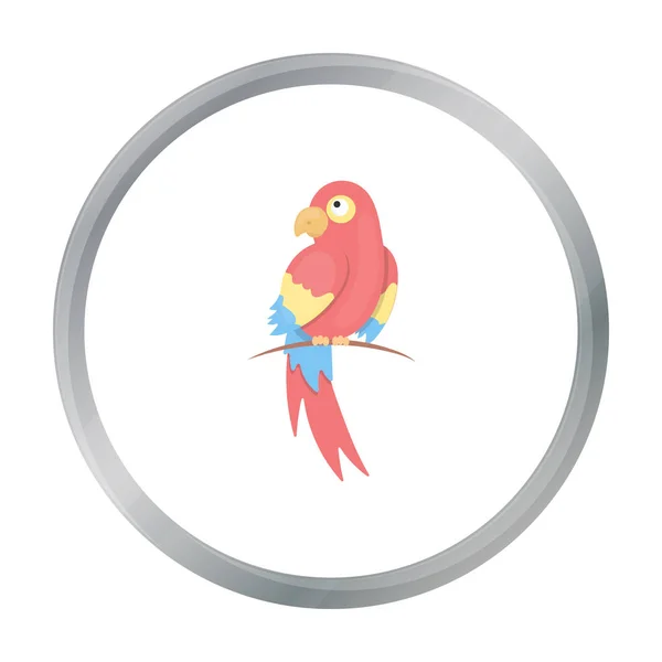 Cartone animato icona pappagallo. Singe icona animale dal grande cartone animato animali . — Vettoriale Stock