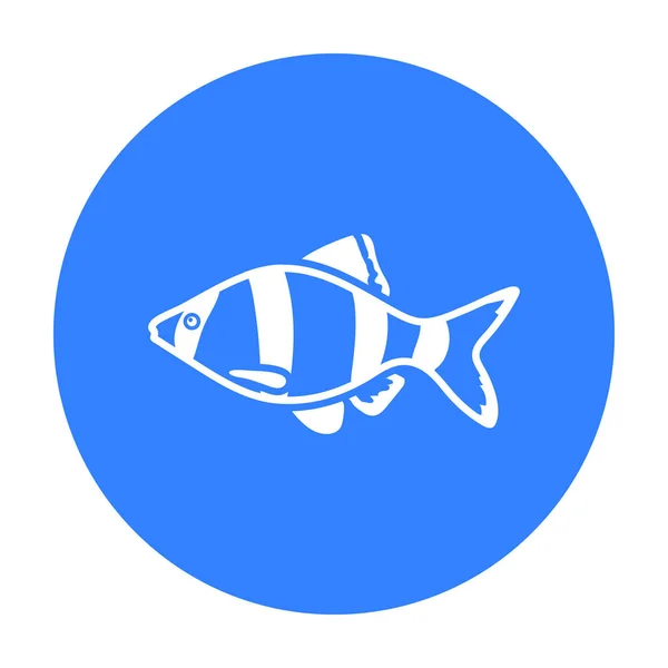 Icono de pescado Barbus negro. Singe acuario icono de los peces del mar, la vida del océano negro . — Archivo Imágenes Vectoriales