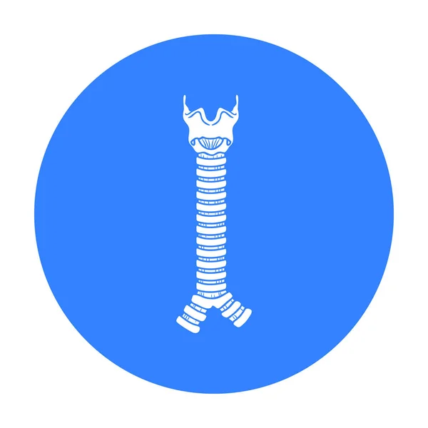 Icono de tráquea humana en estilo negro aislado sobre fondo blanco. Organos humanos símbolo stock vector ilustración . — Vector de stock
