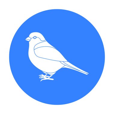 Şakrak kuşu simge siyah stil beyaz arka plan üzerinde izole içinde. Kuş sembol stok vektör çizim.