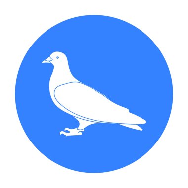 Güvercin simge siyah stil beyaz arka plan üzerinde izole içinde. Kuş sembol stok vektör çizim.