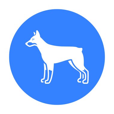Doberman vektör simge siyah stil web için
